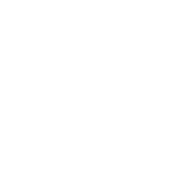 Asset-9-white L shaped white line
